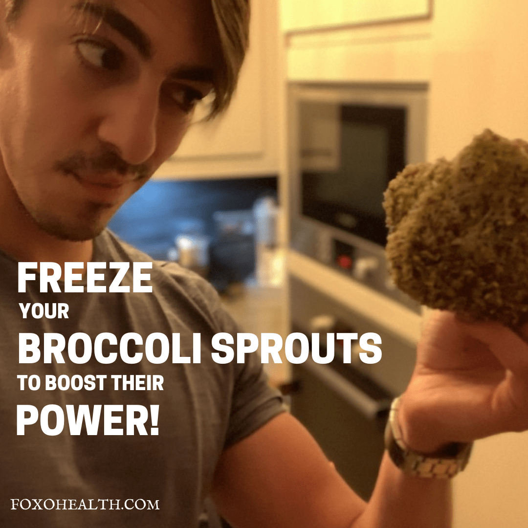 FREEZE YOUR BROCCOLI SPROUTS TO BOOST THEIR POWER